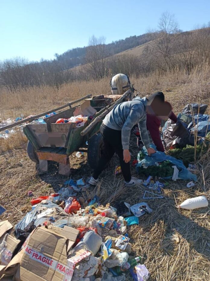 30.000 de lei amendă pentru o femeie și un adolescent din Rupea, prinși în timp ce aruncau gunoi pe câmp