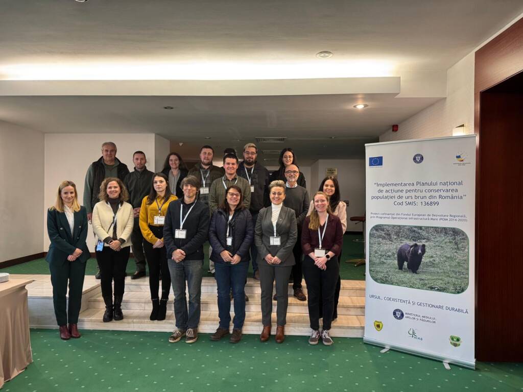 (P) Monitorizarea genetică a populației de urs brun din Carpați, temă pentru cercetătorii europeni
