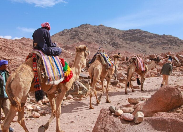 Păzitori ai mănăstirii: Beduinii din Sinai, un neam cu sânge valah