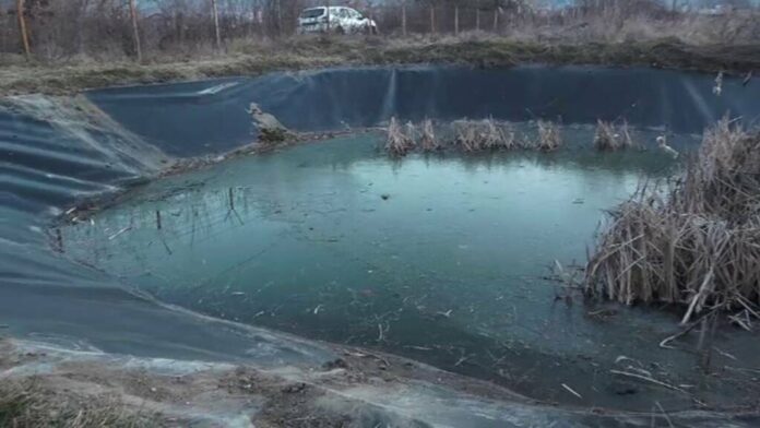 Tragedie: Două surori, în vârstă de 2 și 3 ani, au murit după ce au căzut într-un lac înghețat