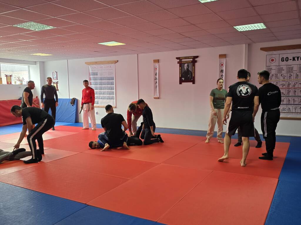FOTO: Jandarmii brașoveni au participat la un stagiu de autoapărare alături de instructorii Clubului Sportiv Dinamo