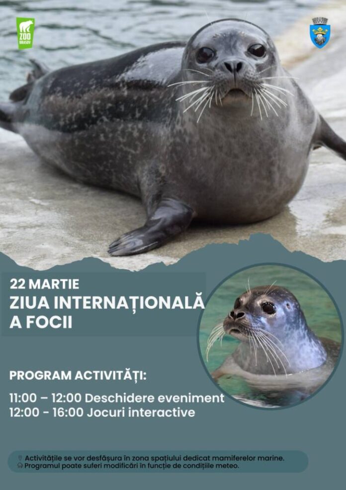 Ziua Internațională a Focii, sărbătorită la Grădina Zoologică Brașov