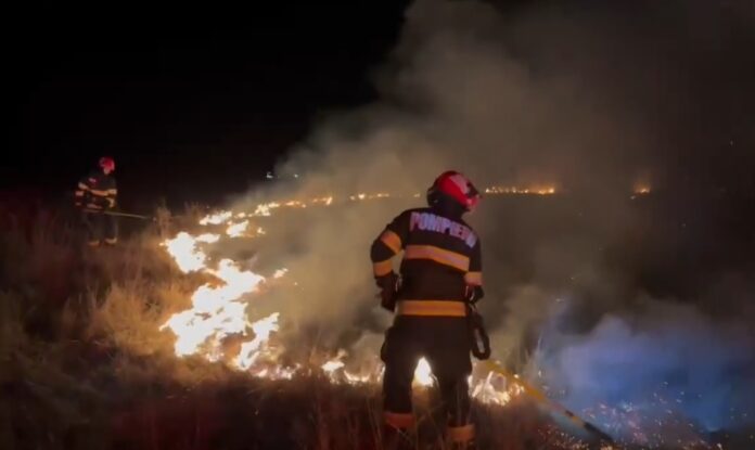 13 incendii de vegetație și fond forestier, care au distrus zeci de hectare, într-o zi, în județul Brașov