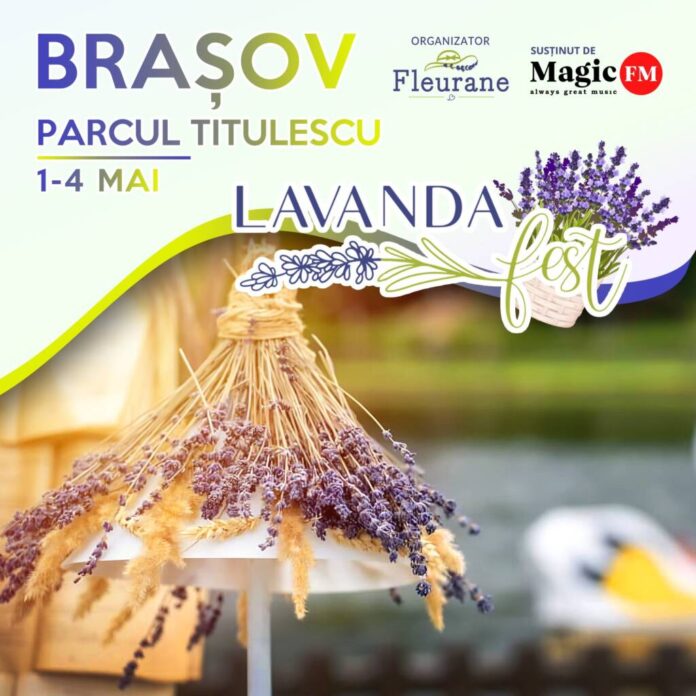 Lavanda Fest, la Brașov, în Parcul Central 