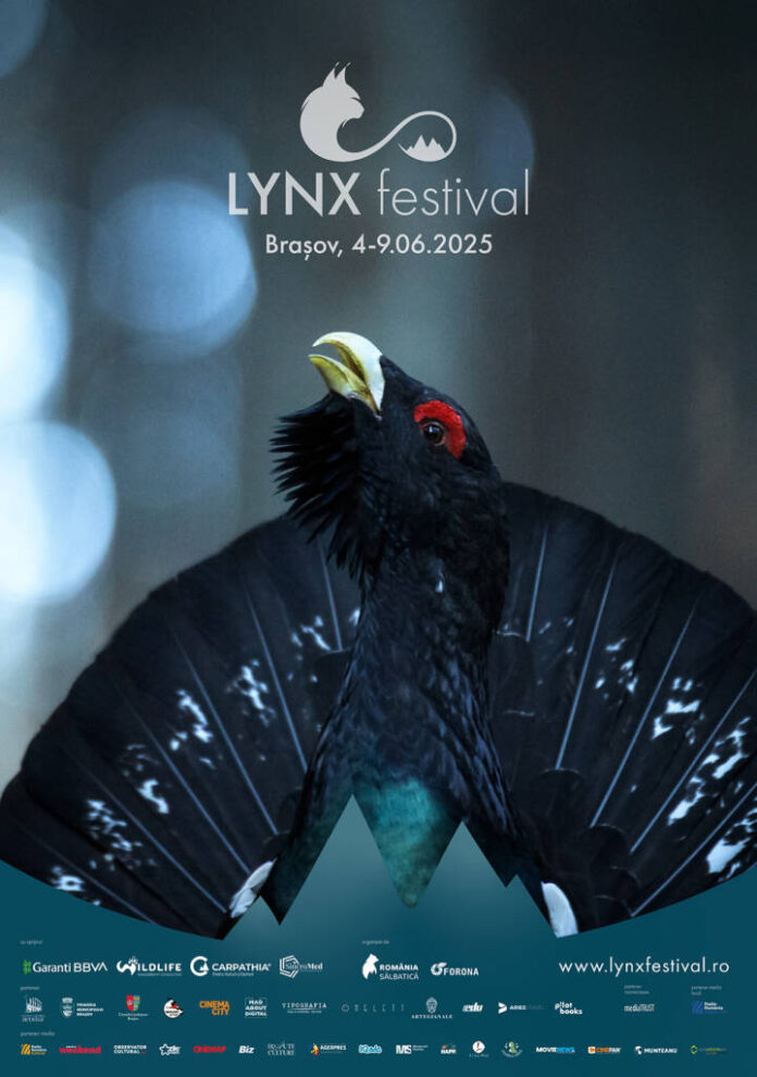 LYNX Festival revine la Brașov în perioada 4 – 9 iunie 2025 l 