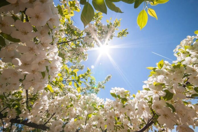 calendar ortodox, mai 2025, sărbători religioase, Sfinții Constantin și Elena, Înălțarea Domnului, Florar, tradiții populare, superstiții