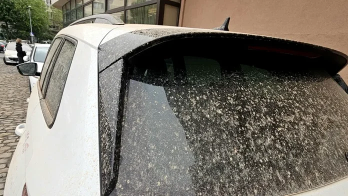 Un nou val de praf saharian va traversa România în perioada 14 – 18 aprilie