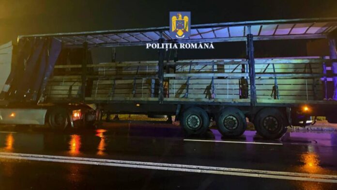 Transport suspect de lemne, anunțat la 112. Polițiștii au confiscat lemnele și și ansamblul auto de 25.000 de euro