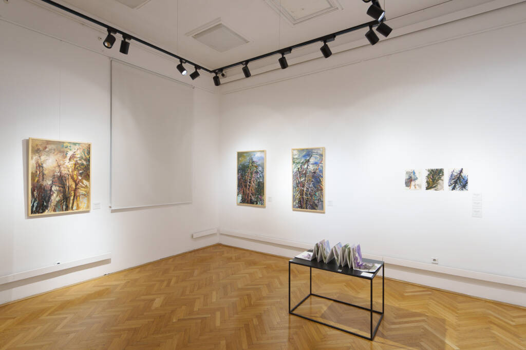 Ultimele zile ale expoziției „Anatomia peisajului transilvănean” semnată Bogdan Mihai Radu, la Muzeul de Artă Brașov
