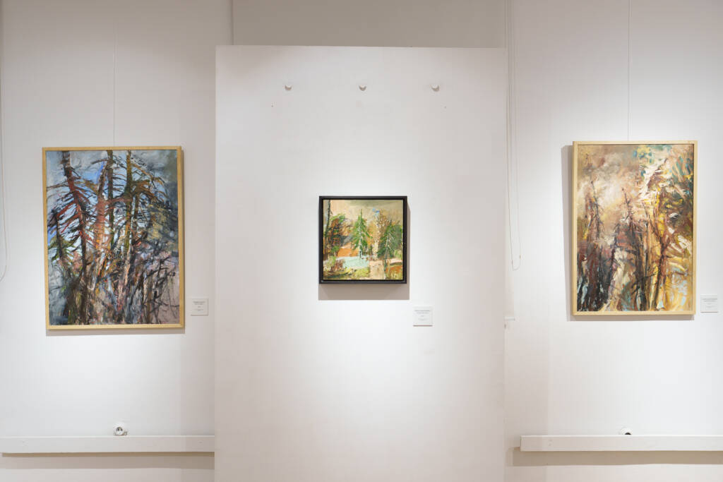 Ultimele zile ale expoziției „Anatomia peisajului transilvănean” semnată Bogdan Mihai Radu, la Muzeul de Artă Brașov