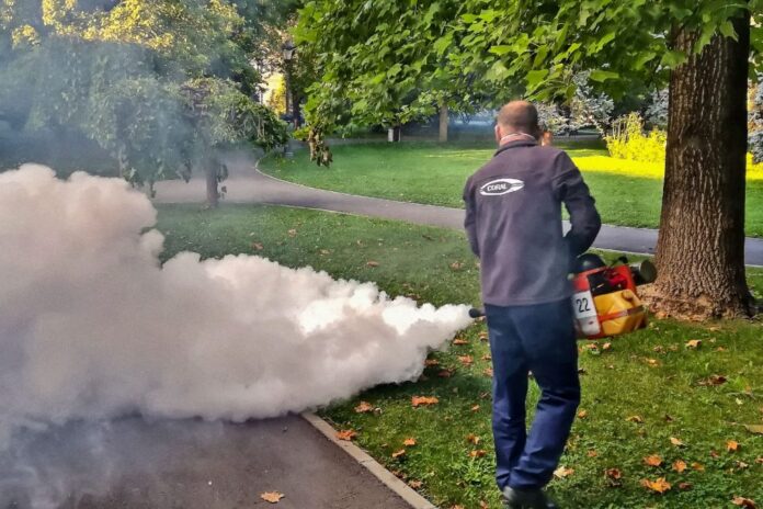 În Brașov, în prezent, o nouă etapă de combatere a căpușelor, iar de săptămâna viitoare dezinsecție
