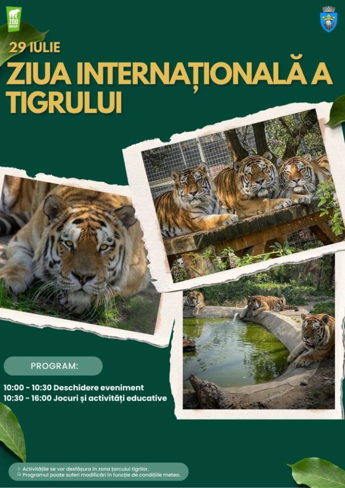 Ziua Internațională a Tigrului, sărbătorită la Grădina Zoologică Brașov