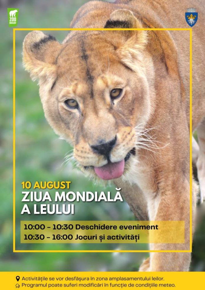 Ziua Mondială a Leului, marcată la Grădina Zoologică Brașov