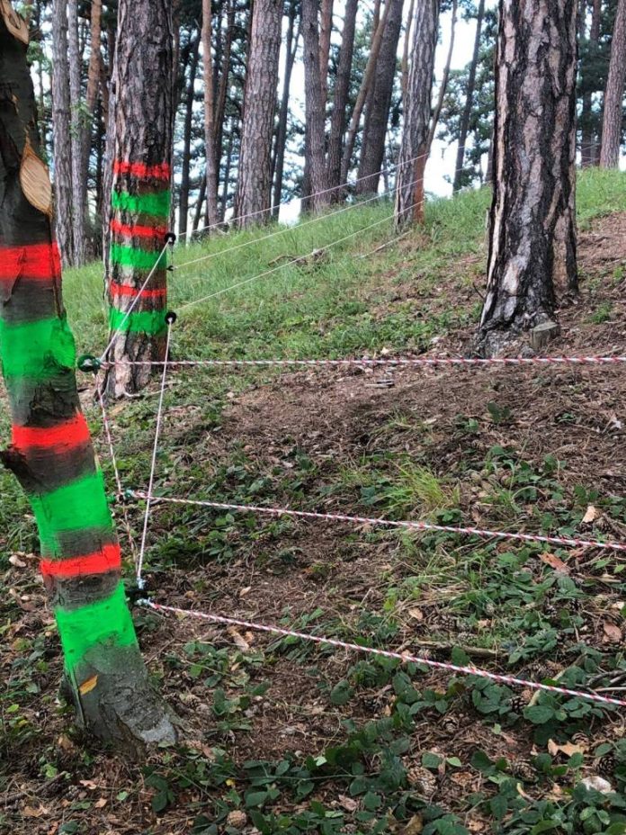 O nouă porțiune de gard electric a fost montată în pădurile din Râșnov, pentru protecția locuitorilor de urși
