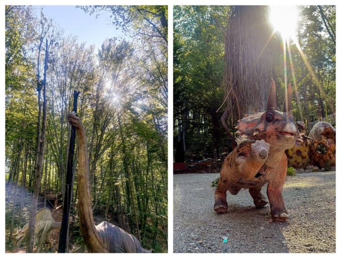 Noi atracții la Dino Parc Râșnov: Cel mai mare dinozaur animatronic din Sud-Estul Europei și primul dinozaur roboțel din România