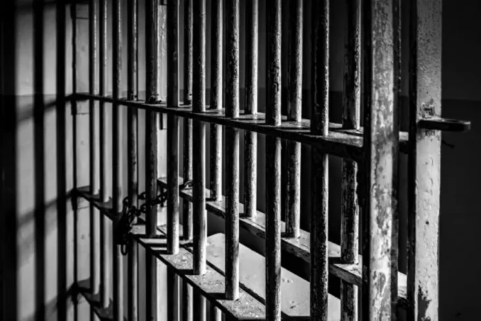 Un individ a ajuns la închisoare după ce a maltratat o pisică