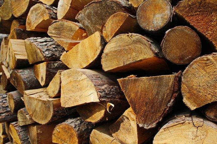 Furt de arbori și tăiere de arbori fără drept, pe lângă Mercheașa