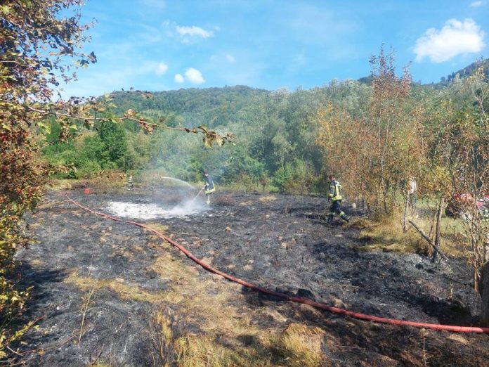 Incendiu pe Valea Glăjeriei