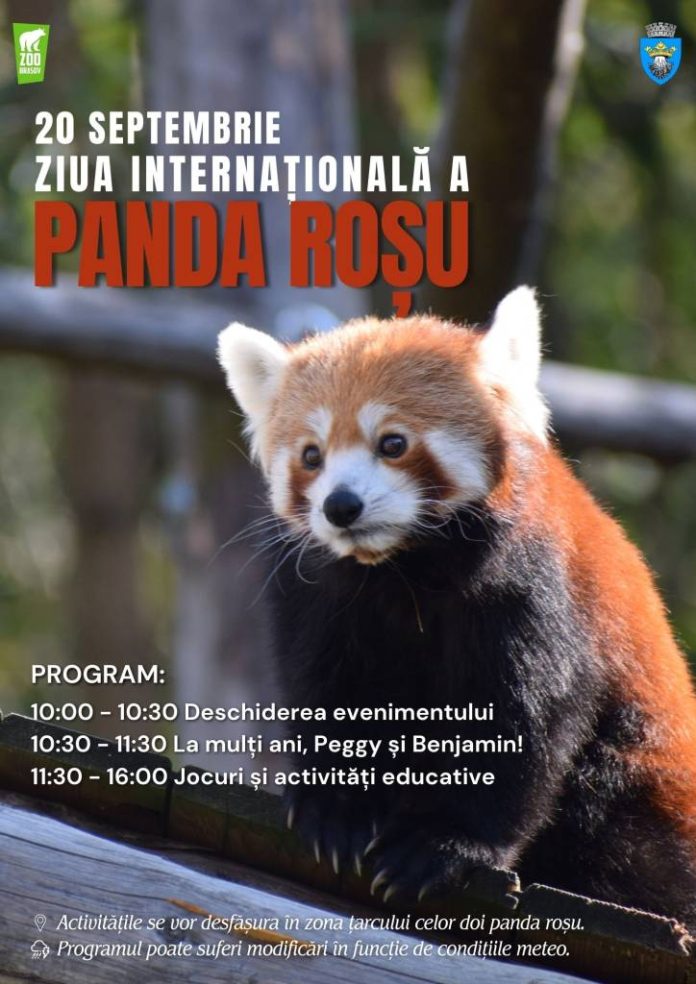 Petrecere la Grădina Zoologică Brașov: La mulți ani, Peggy și Benjamin, singurii panda roșu din țară!