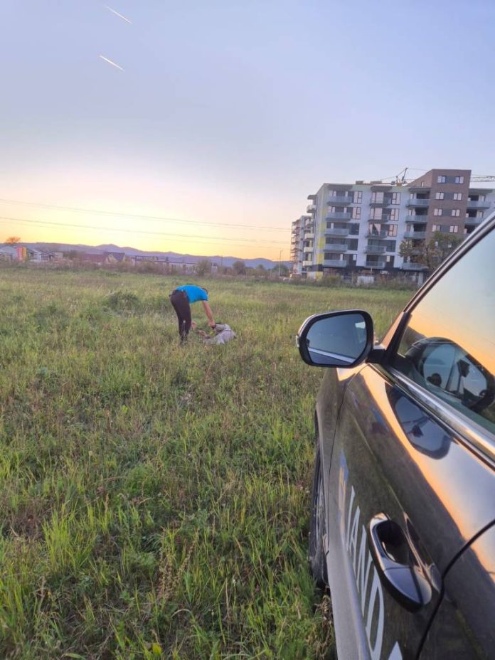 Doi vârstnici, dați dispăruți, au fost găsiți de jandarmi în Timișu de Sus și în Râșnov