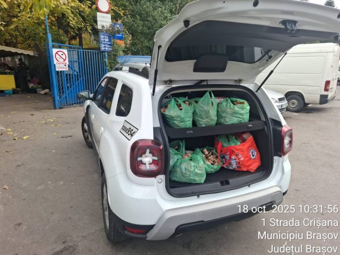 Mai mulți comercianți ilegali, depistați la Piața Dacia