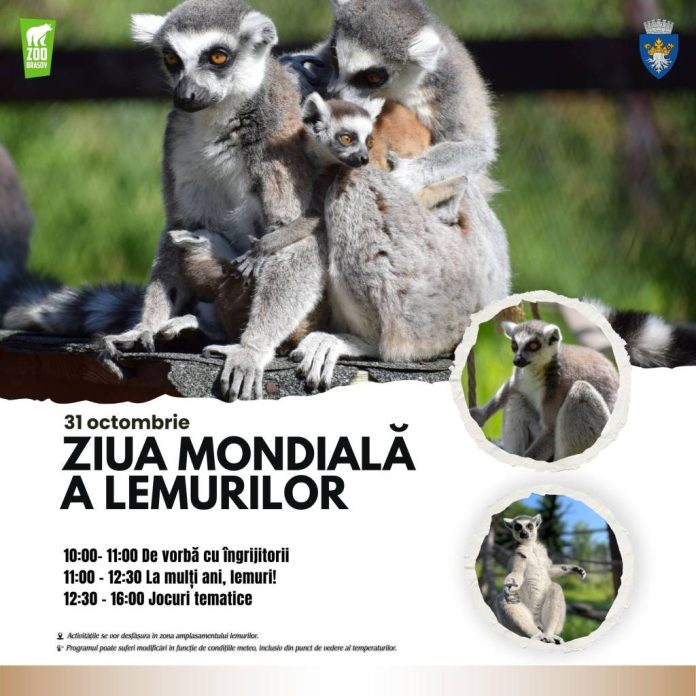 Lemurii sunt printre cele mai amenințate mamifere de pe planetă: Ziua Mondială a Lemurilor, sărbătorită la Grădina Zoologică Brașov