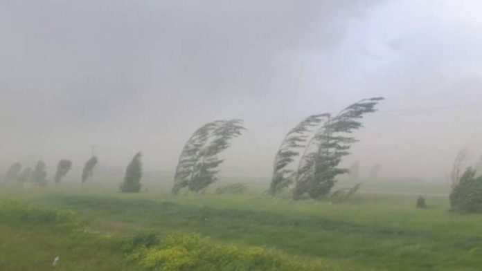 Cod galben: Intensificări ale vântului în mai multe zone din țară