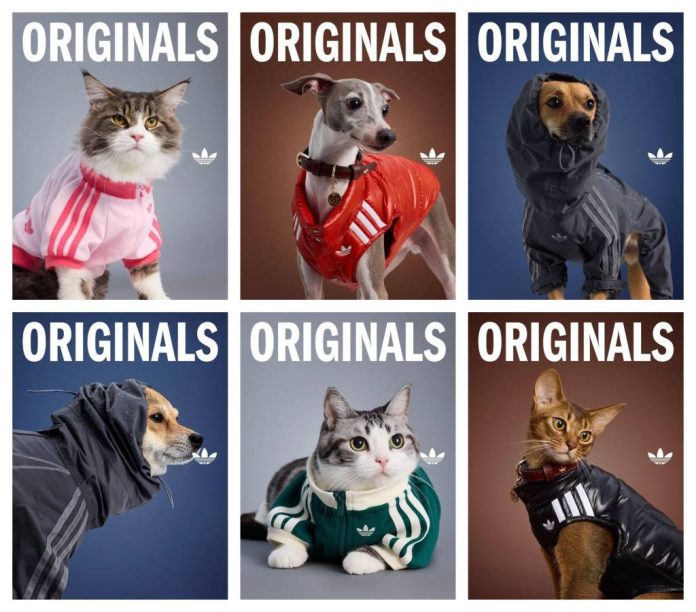 Adidas lansează o colecție vestimentară pentru animale mici de companie