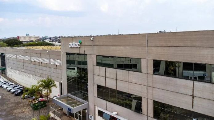 Brazilia, pentru a combate febra Dengue, deschide cea mai mare fabrică de țânțari din lume: 190 de milioane de insecte produse săptămânal