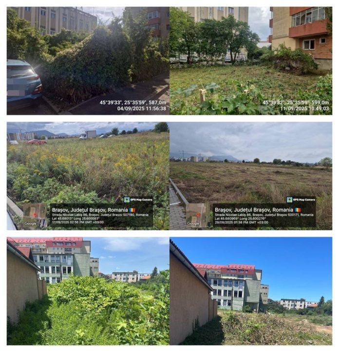 Zeci de somații trimise proprietarilor pentru terenuri din Brașov cu vegetație crescută necontrolat sau cu deșeuri depozitate ilegal