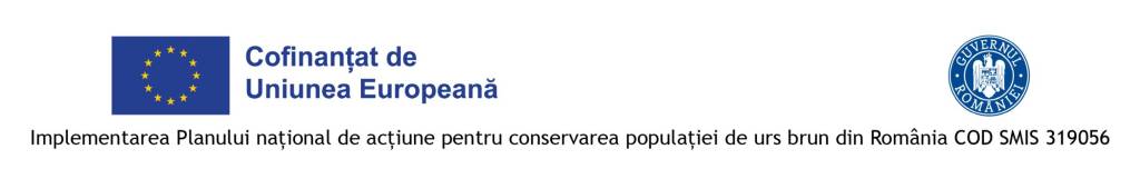 Evaluarea mărimii populației de urs brun în România: peste 10.400 de exemplare estimate în 2025