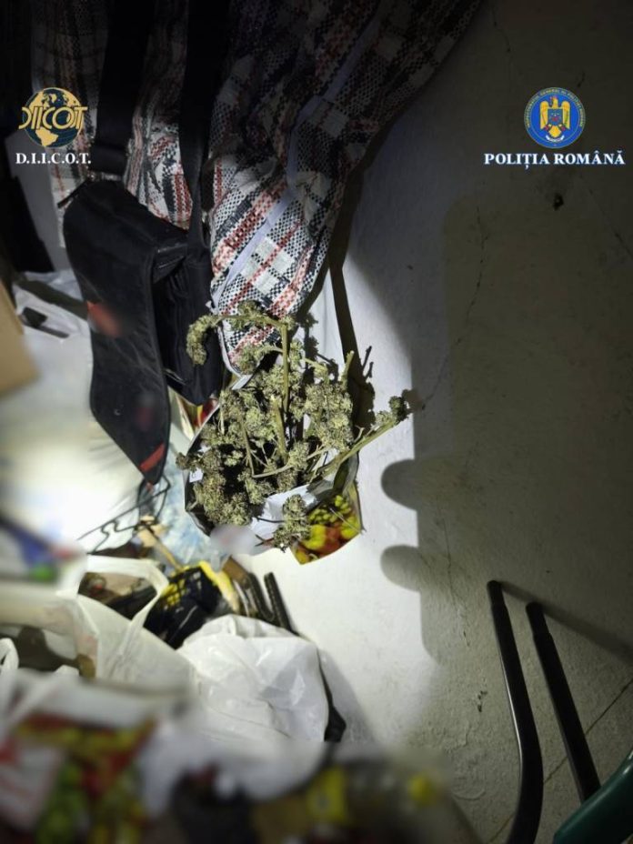 Percheziții domiciliare, în județele Brașov și Vaslui, într-o cauză privind traficul de droguri