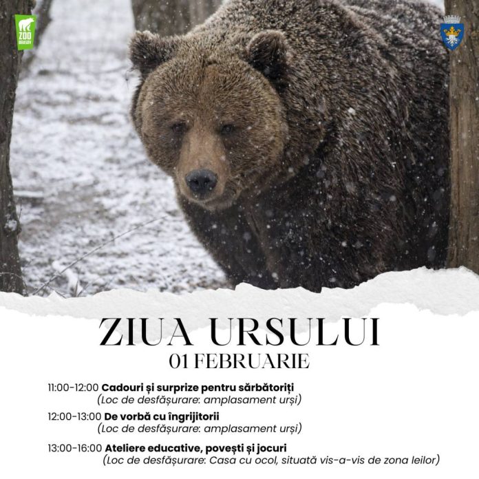 Ziua Ursului, sărbătorită la Grădina Zoologică Brașov