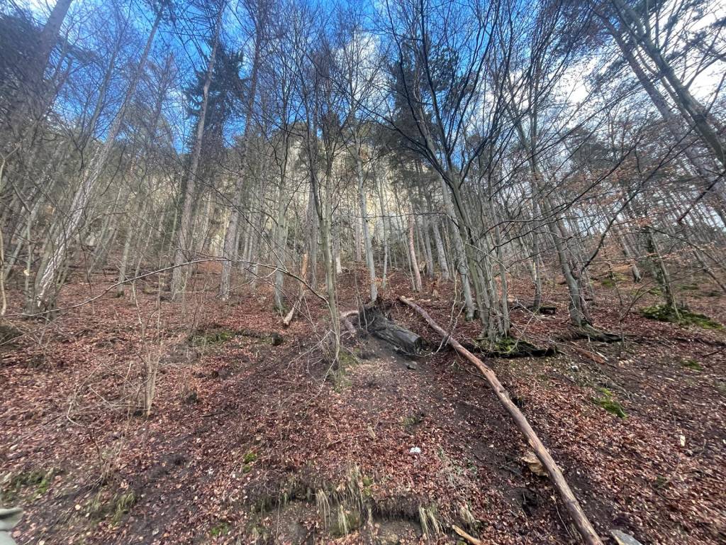 FOTO: Intervenție de urgență pe Drumul vechi