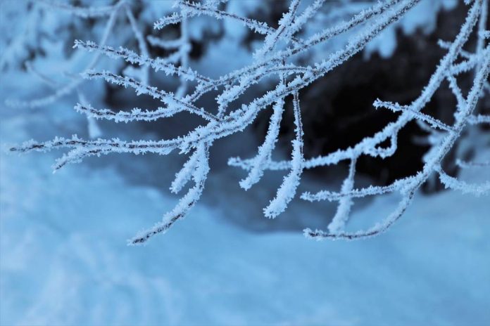 Valul de frig continuă în cea mai mare parte a țării. Temperaturi minime, între -20 și -6 grade