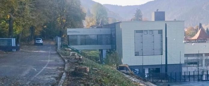 Petiție pentru protejarea arborilor din Brașov depusă de grupul SCUT pentru spații verzi