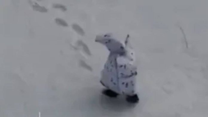 Soldați sau pinguini? Uniformele de camuflaj ale Rusiei au devenit ținta ironiilor pe internet