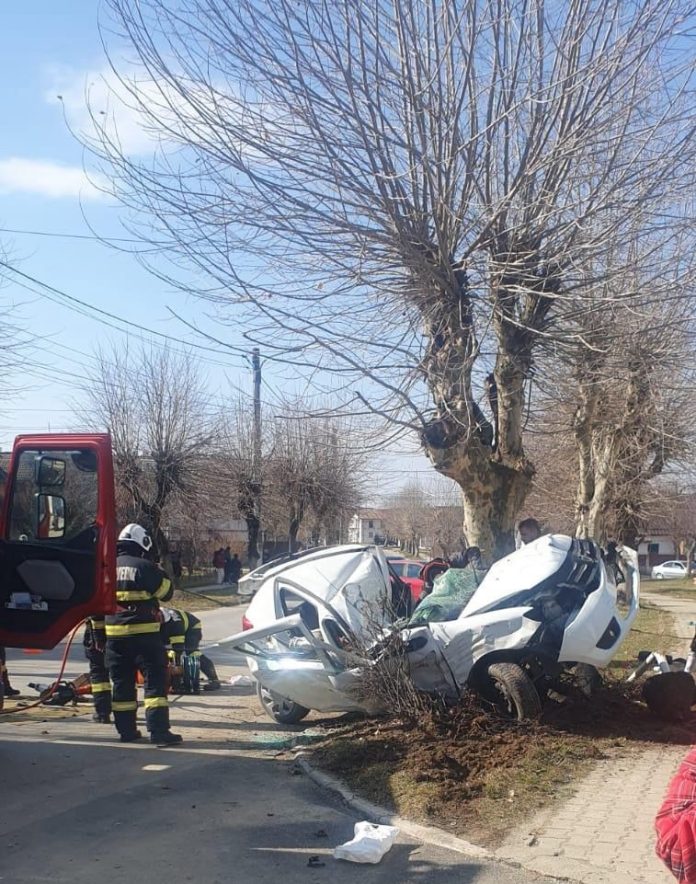 UPDATE/Un tânăr de 18 ani a murit după ce un autoturism a intrat într-un copac, în Victoria