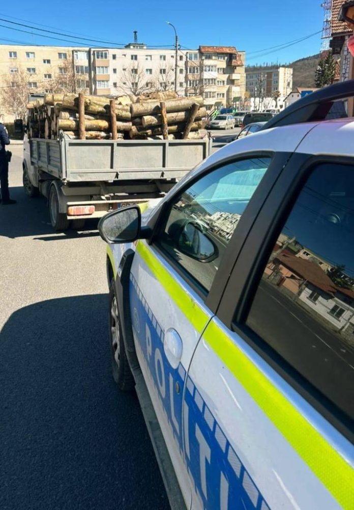 Lemn transportat fără acte, confiscat de polițiști, la Râșnov. Șofer amendat cu 6.000 de lei