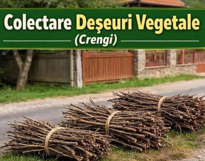 Colectare de deșeuri vegetale, la Râșnov
