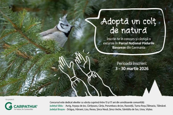 Copiii din jurul Munților Făgăraș pot ajunge în Parcul Național Pădurile Bavareze prin programul „Adoptă un colț de natură”