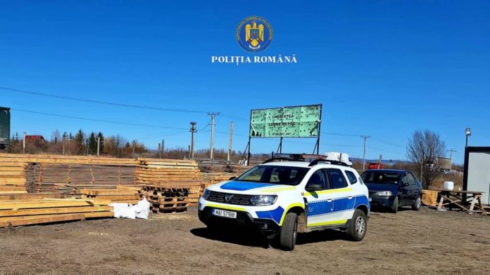 Verificări în domeniul silvic, în județul Brașov: 122 de amenzi și peste 700 de metri cubi de lemn confiscați