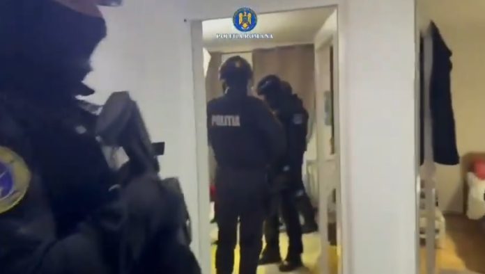 Percheziții în 4 județe într-o anchetă privind eutanasierea ilegală a câinilor fără stăpân (VIDEO)