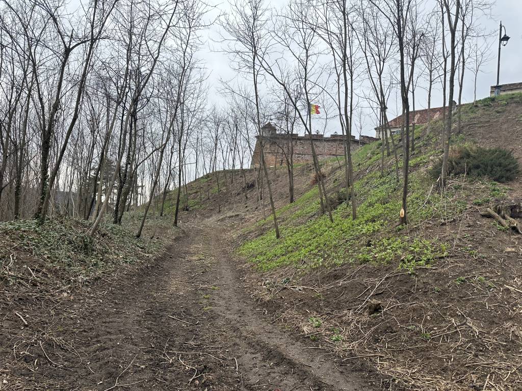 Două simboluri ale Brașovului care se degradează în tăcere: Cetățuia și Strada Sforii – Anatomia unui eșec administrativ