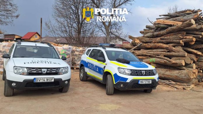 Amenzi de 46.000 de lei și lemn confiscat în urma unor controale silvice în județul Brașov