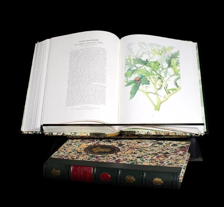 Poza pentru articolul Muzeul Prima Școală Românească, la moment aniversar