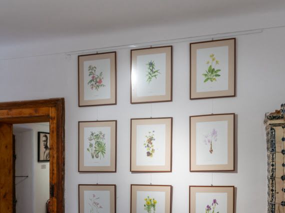 Poza pentru articolul Muzeul Prima Școală Românească, la moment aniversar