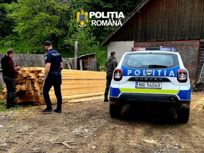 Dosar penal și amendă pentru o firmă din Poiana Mărului care comercializează material lemnos