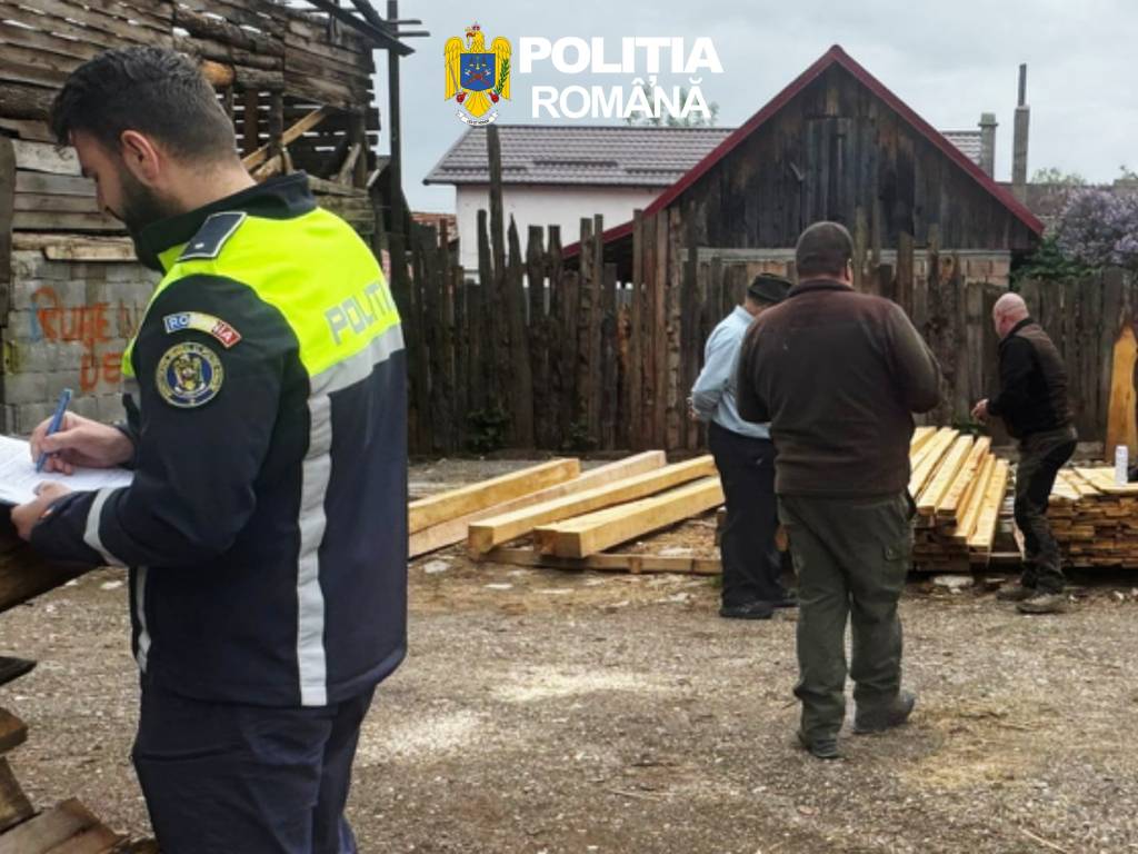 Sancțiuni, lemn confiscat și dosare penale, în urma unor controale în județul Brașov în domeniul silvic (FOTO)