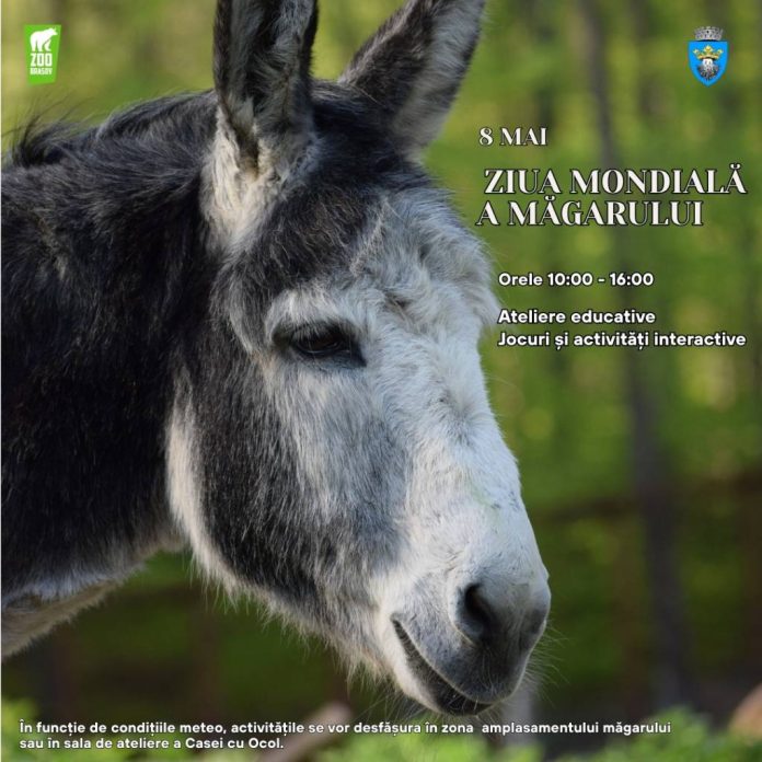 Ziua Mondială a Măgarului, marcată la Zoo Brașov printr-un eveniment dedicat lui Evelin